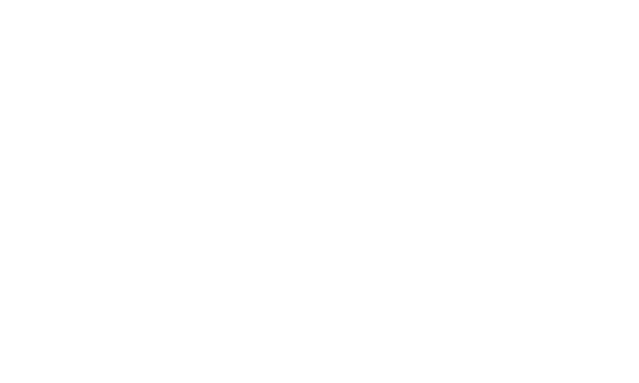 VISAGE
